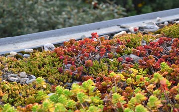 the cost of Lower Clapton green roof installation