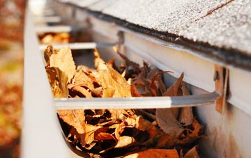 Lower Clapton gutter cleaning companies