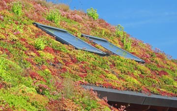 Lower Clapton living roof systems