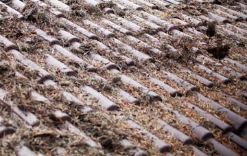 Lower Clapton roof cleaning companies