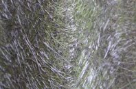 Lower Clapton fibreglass roof work